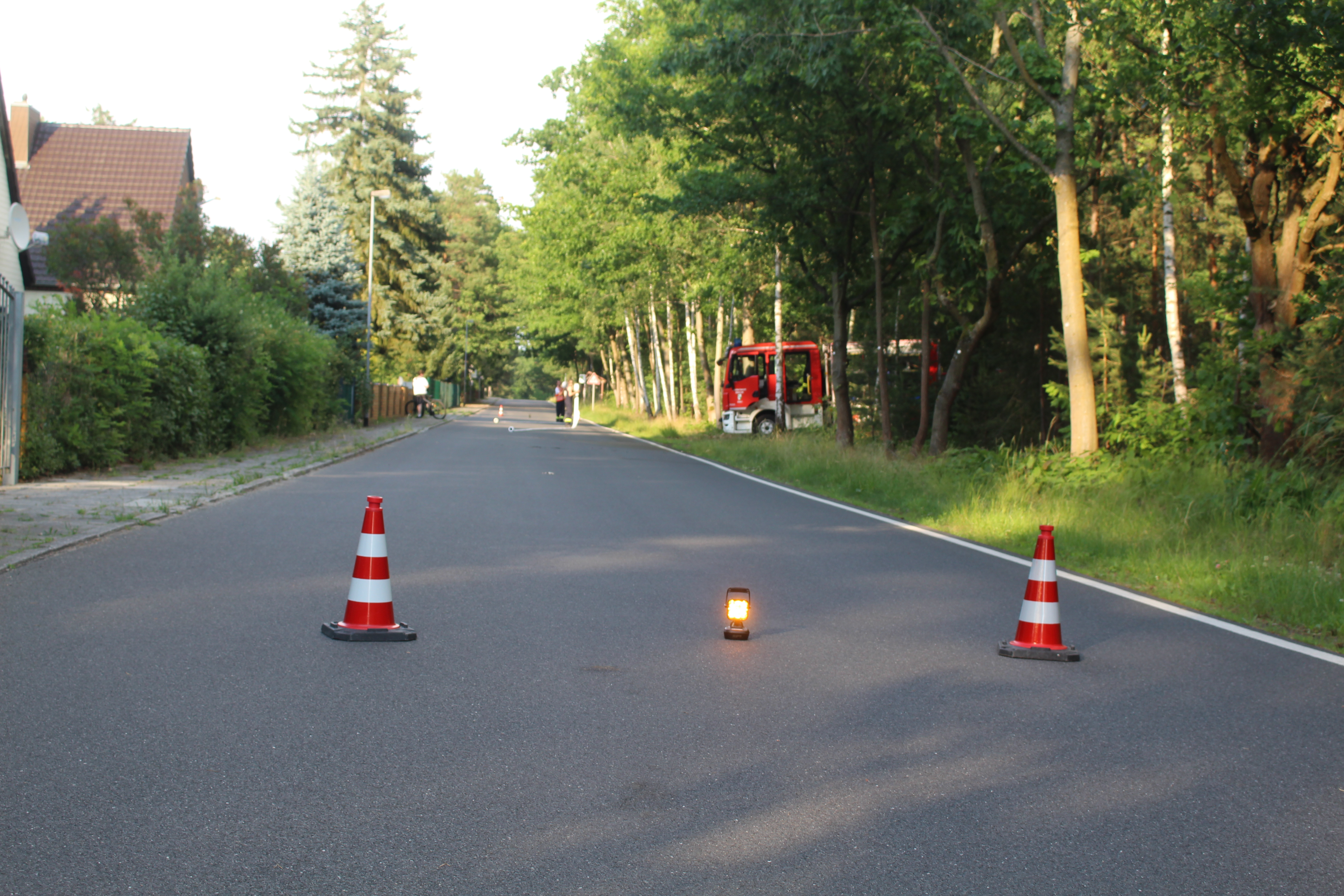 Waldbrand-043.JPG