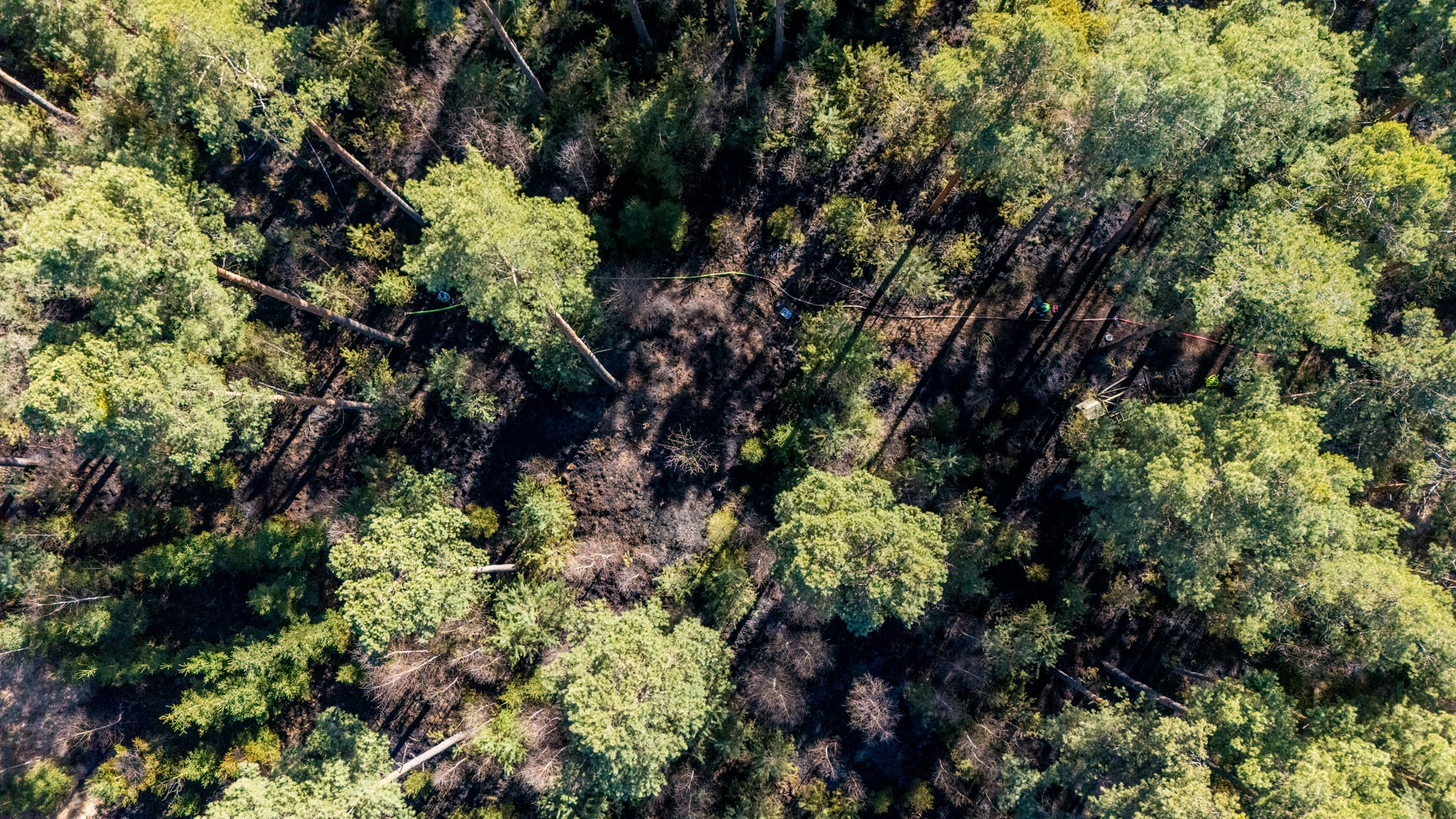 26-04-09 16-23-59 5888.jpg