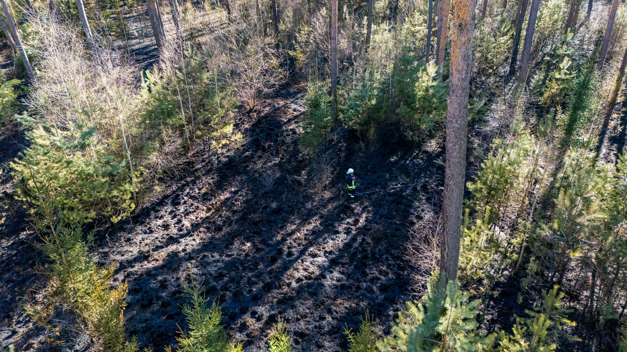 26-04-09 16-31-55 5885.jpg