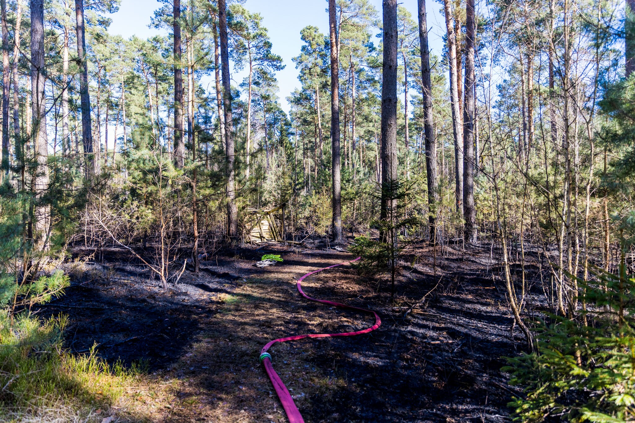 26-04-09 17-17-44 5894.jpg