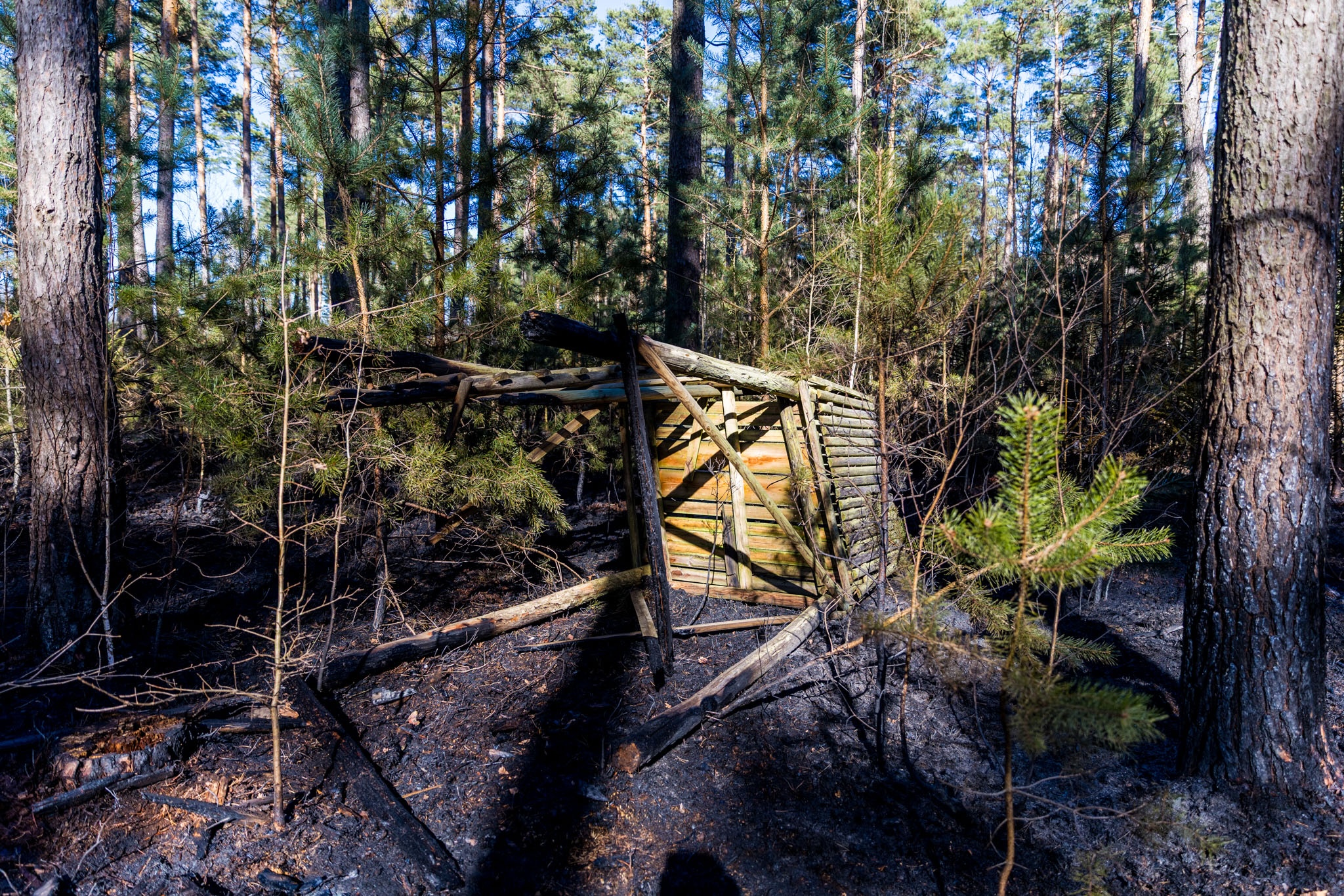 26-04-09 17-20-29 5893.jpg