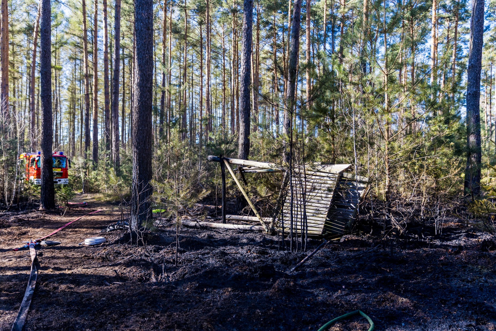 26-04-09 17-21-12 5892.jpg