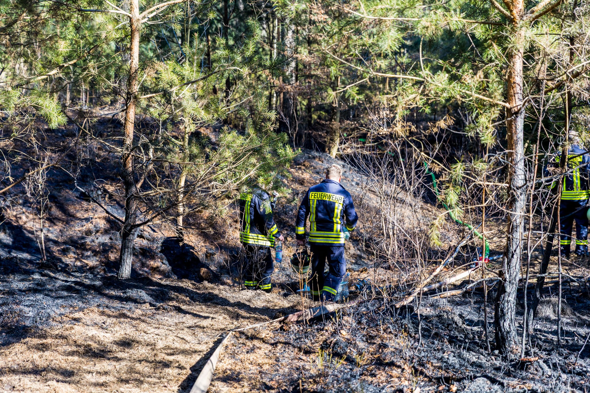 26-04-09 17-31-47 5890.jpg