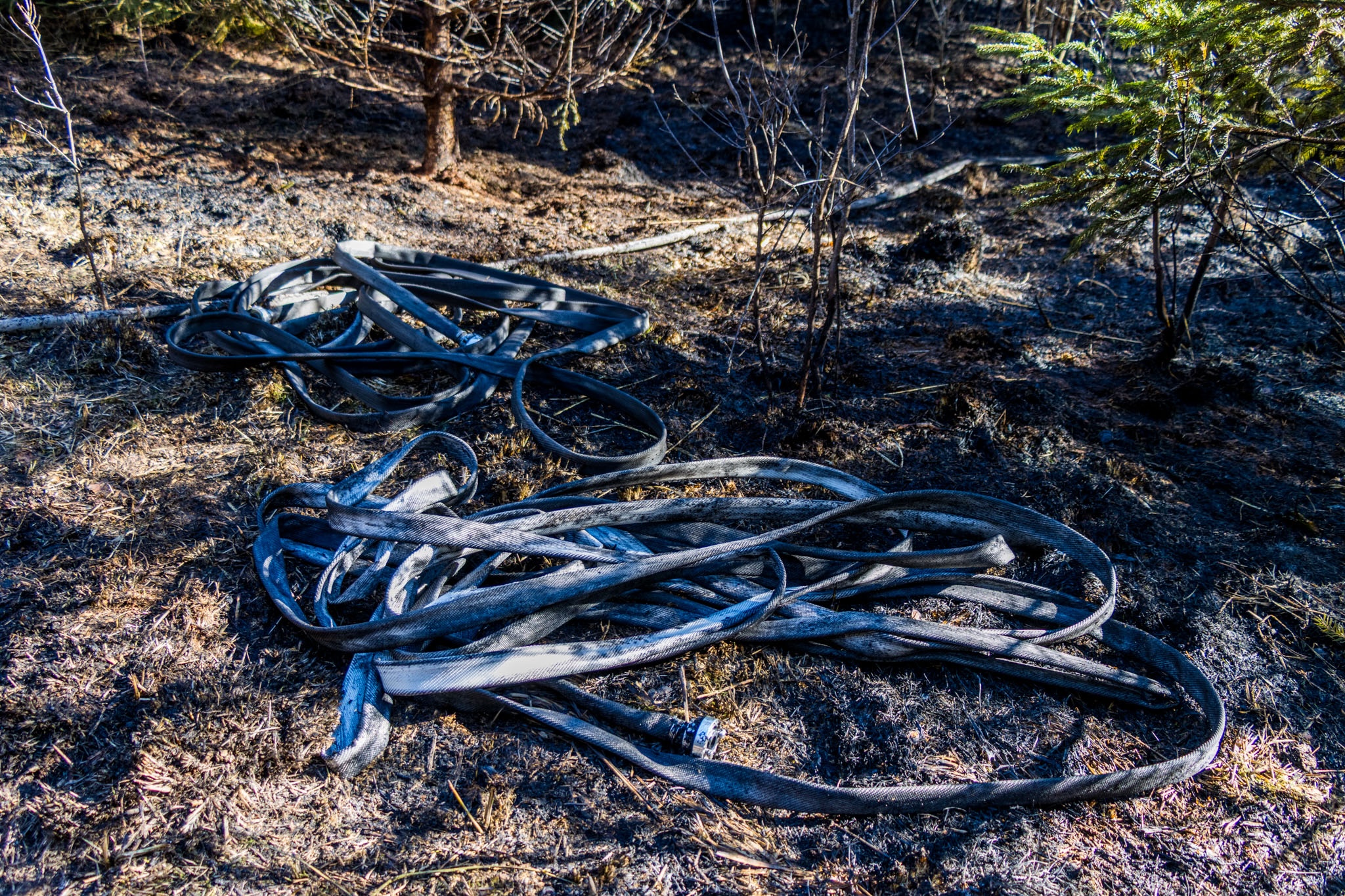 26-04-09 18-27-34 5886.jpg